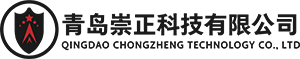 崇正咨询